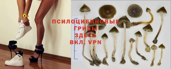 PSILOCYBIN Белоозёрский